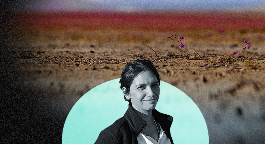 Columna De Cristina Dorador La Negacion Del Desierto